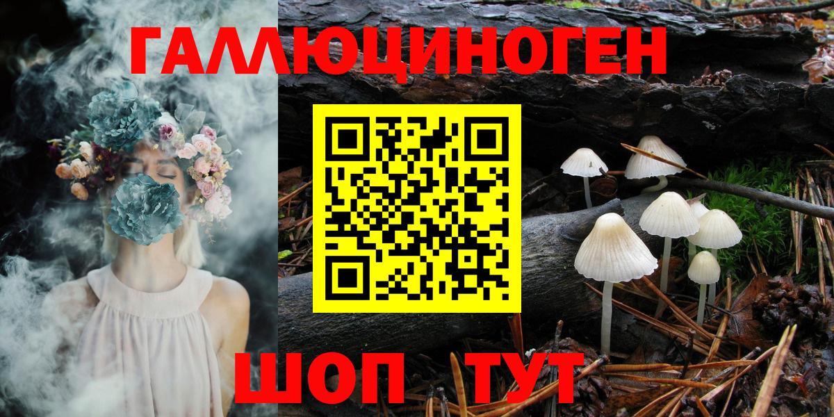 Псилоцибиновые грибы Psilocybine cubensis Сызрань
