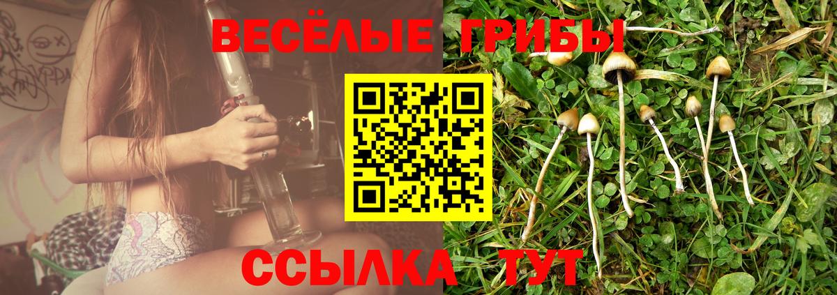 Галлюциногенные грибы MAGIC MUSHROOMS  Вход с VPN  Псилоцибиновые грибы Magic Shrooms  Сызрань 